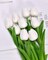 20PCS Tulips Artificial Flowers Faux Silk Tulip Stems Fake Flowers Bouquets for Vase Wedding Home Decoration White